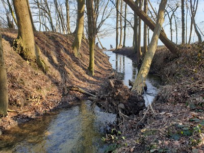 Sierksdorf-Ufer